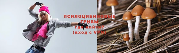 трава Алексеевка